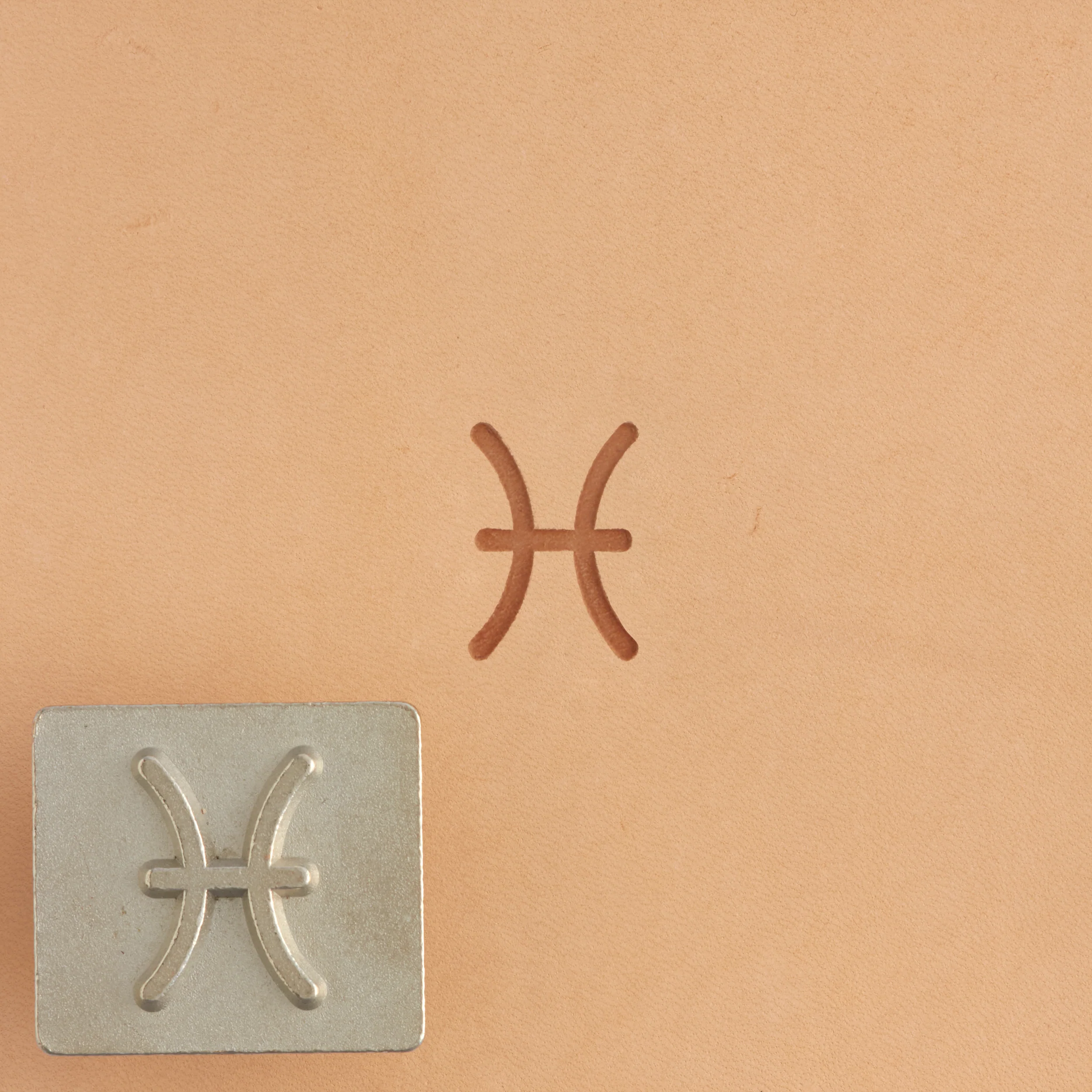 Craftool® Zodiac Stamp Set - Image 13