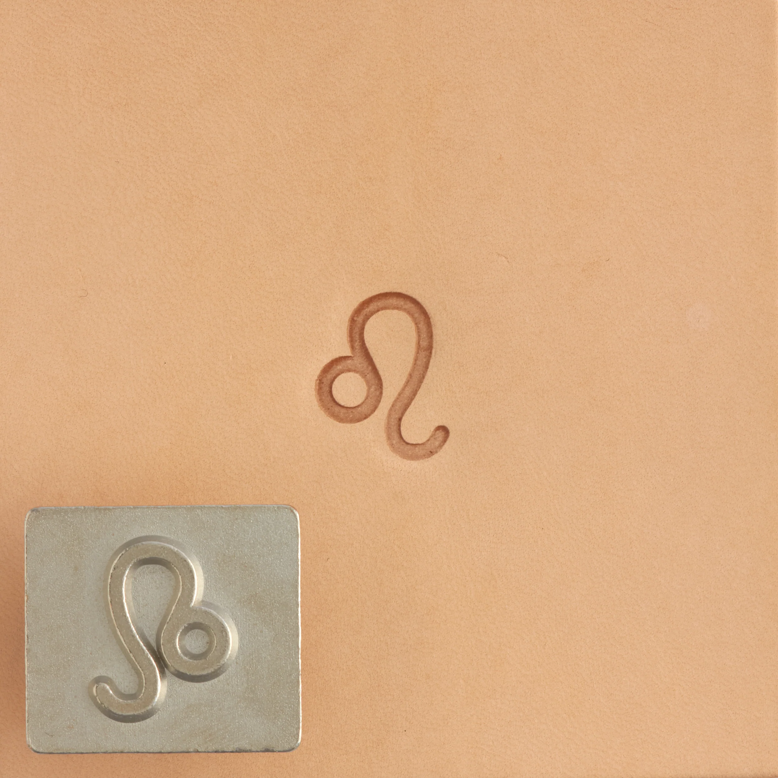 Craftool® Zodiac Stamp Set - Image 6